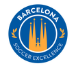Barcelona Soccer Excellence Academy