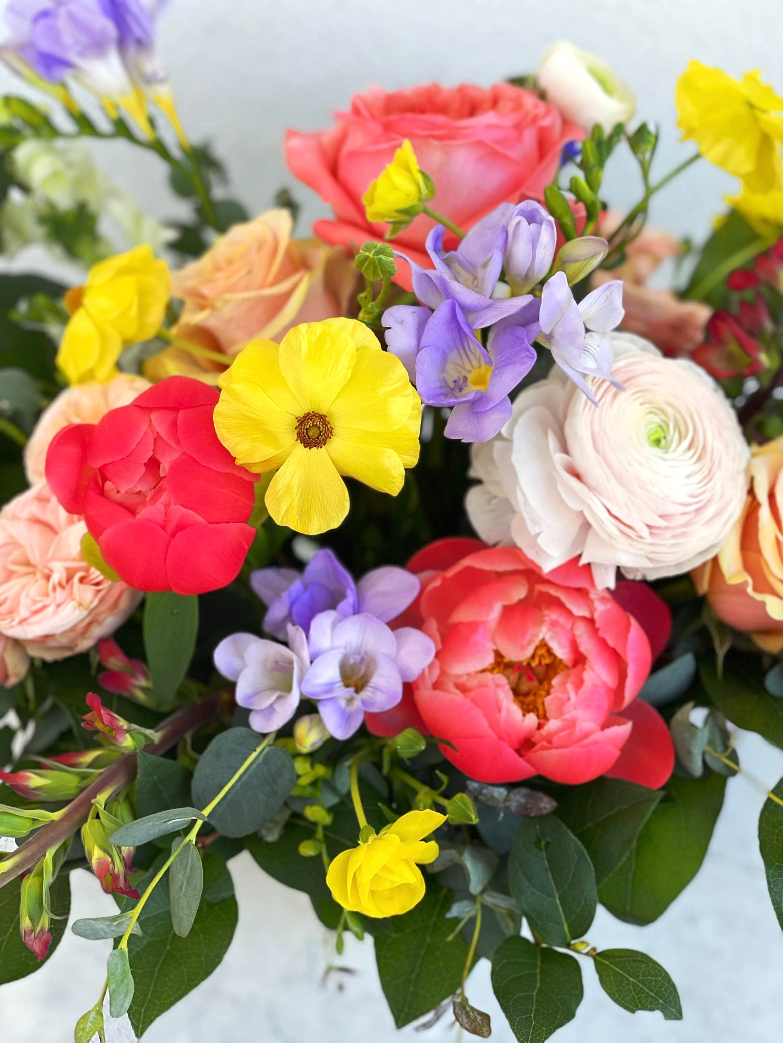 Flower Camp